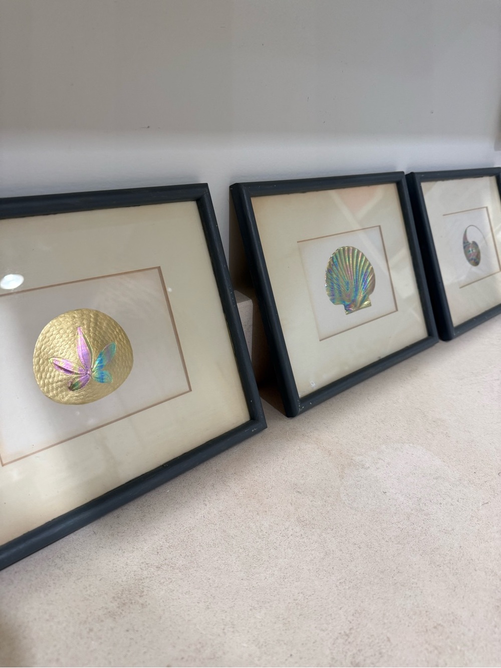 coastal, Palm Beach, Hollywood Regency / vintage seashell art work- set of three